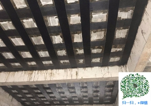 丹巴厂房碳纤维加固